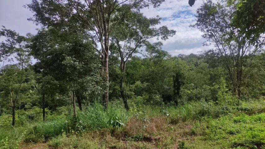 FAZENDA À VENDA - PADRE BERNARDO/GO 127 ALGUEIRES - Foto 3