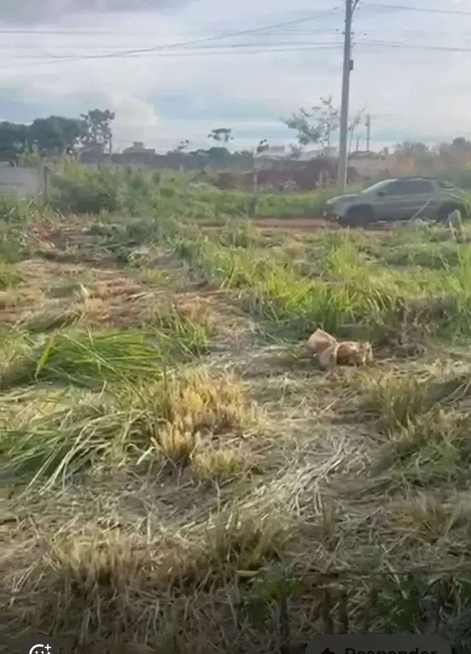 lote 425 metro! OPORTUNIDADE - Foto 2