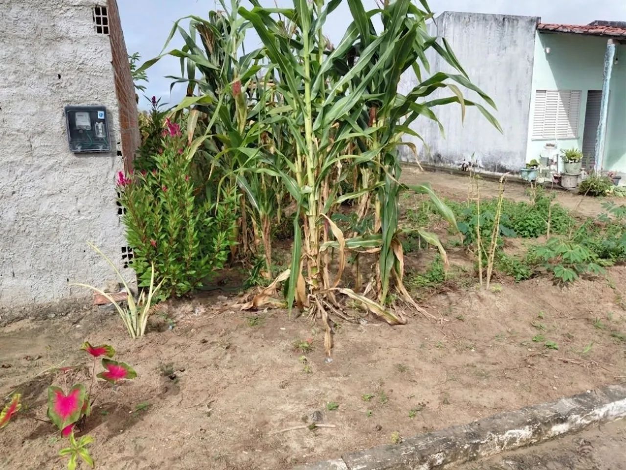 Terreno à venda em Boquim - Foto 3