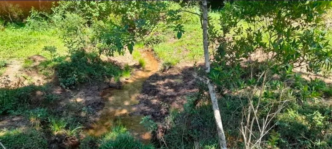 Terreno  - Foto 4