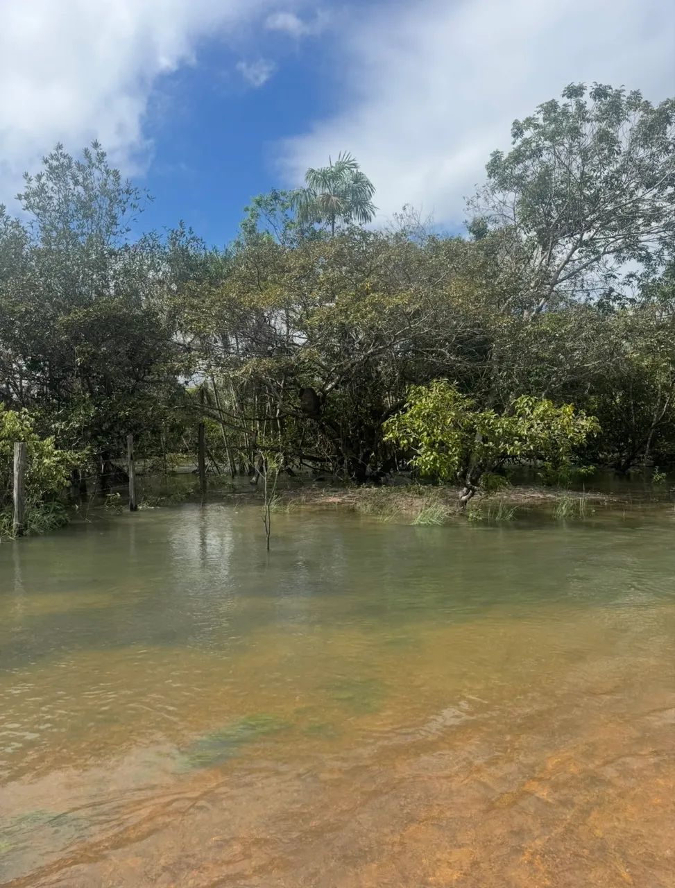 02 lotes loteamento Murupu, acesso comunitário ao Igarapé. - Foto 4