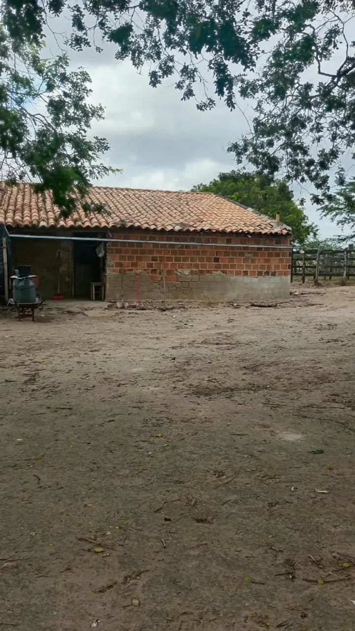 Sitio - Foto 3