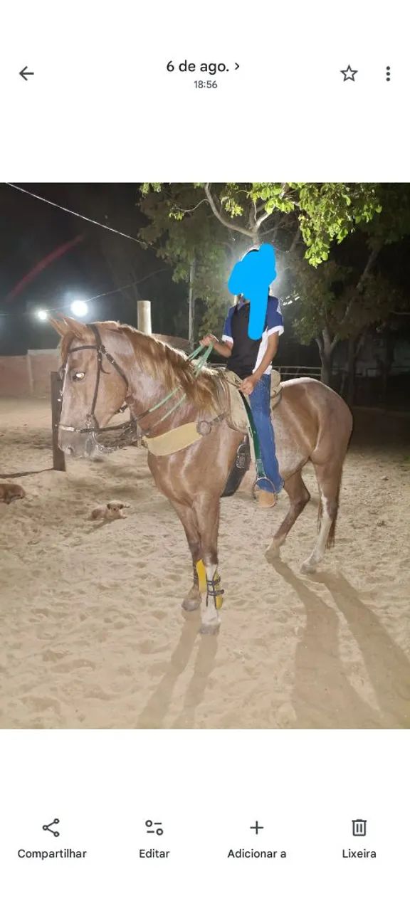 Égua 