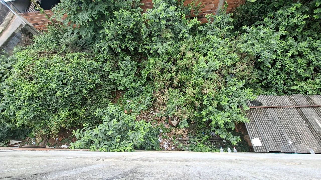 Lote plano 256m² - Foto 3