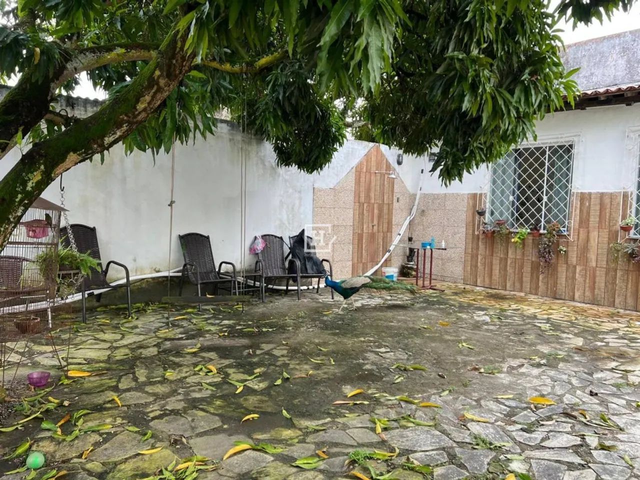 Casa com 3 quartos à Venda, Suíssa - Aracaju - Foto 4
