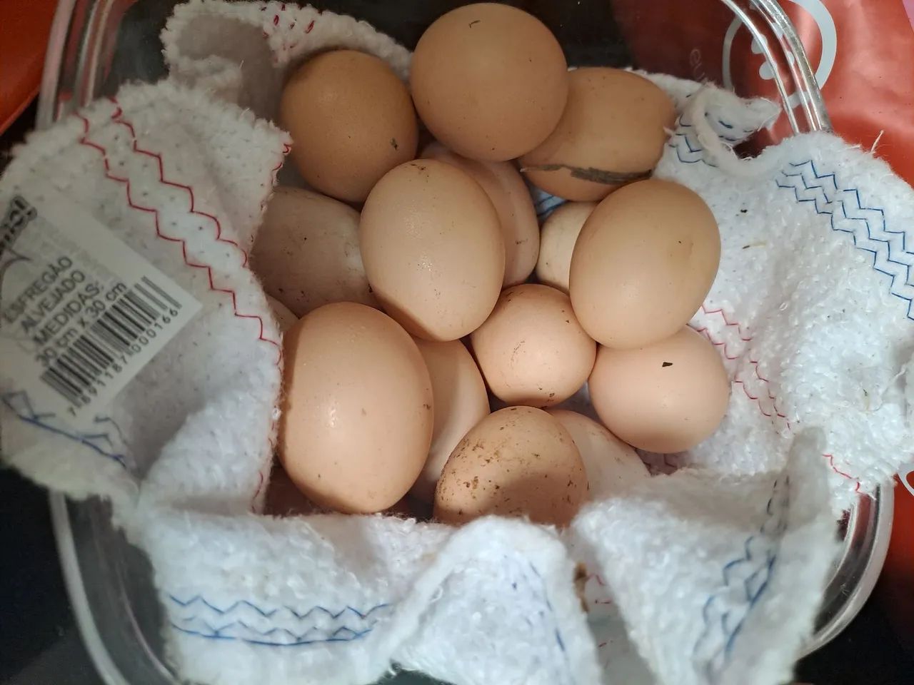 OVOS CAIPIRA 