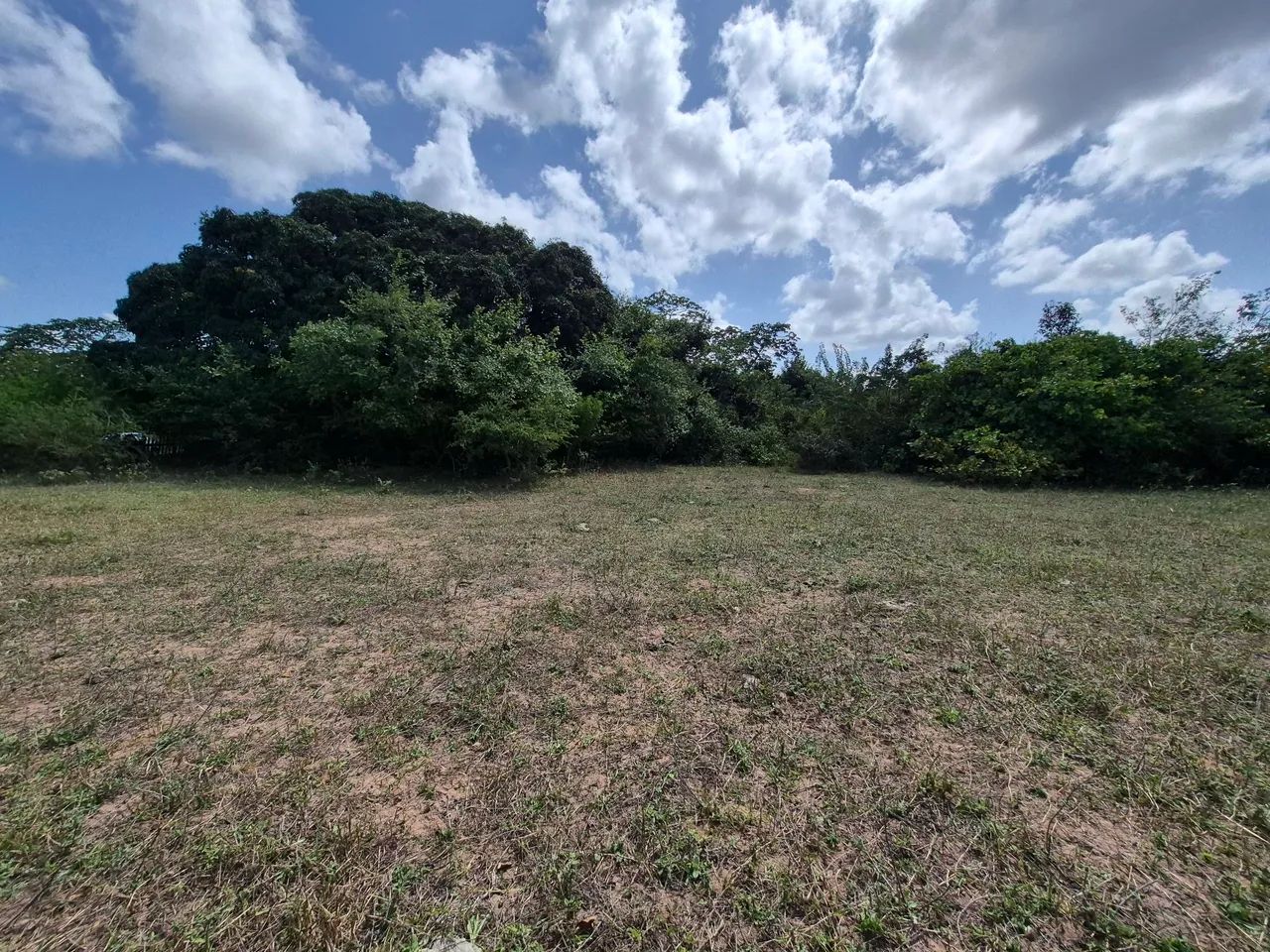 Vendo Terreno 40 x 53
