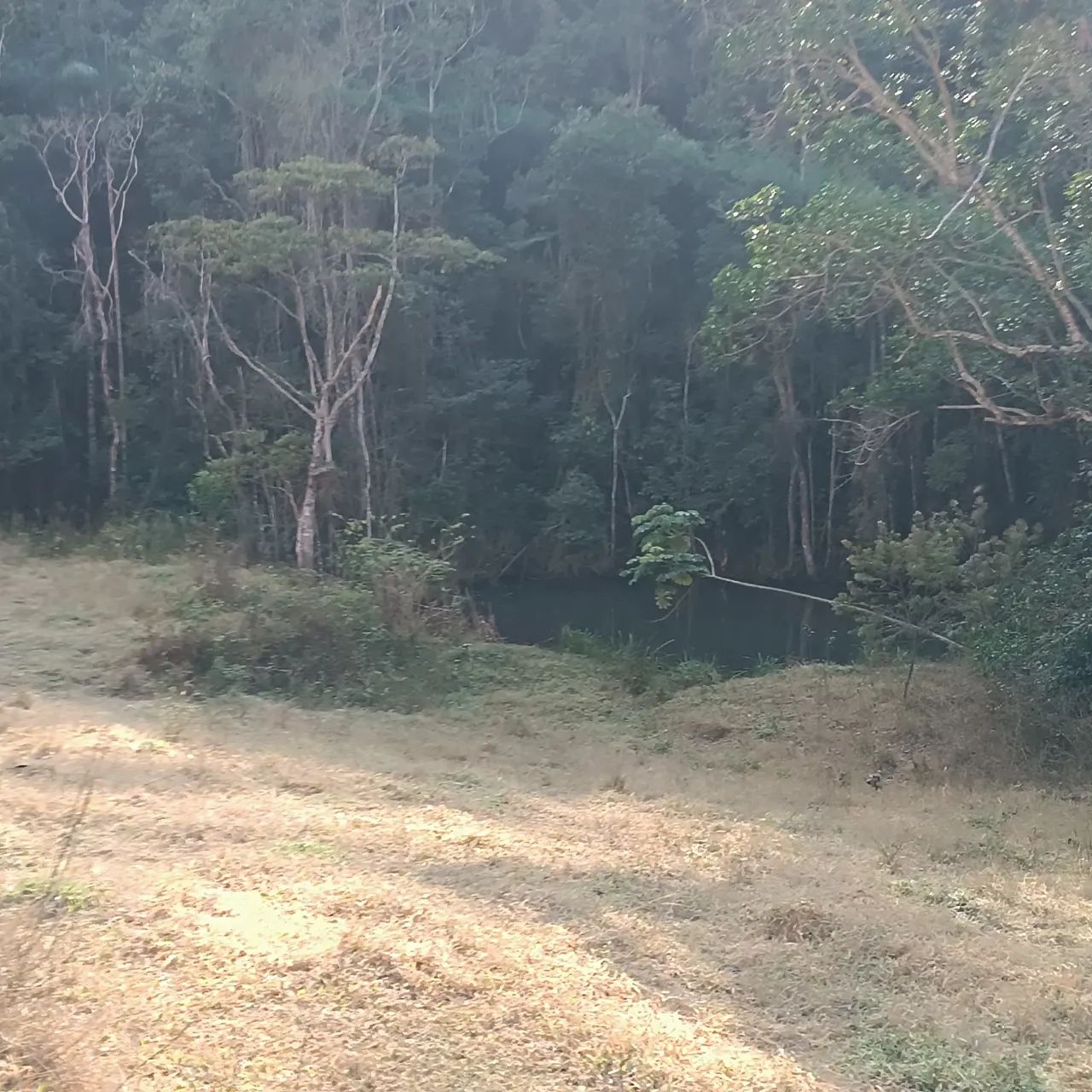 VENDO SITIO 3 ALQUEIRES EM NATIVIDADE DA SERRA ( 4291 ) - Foto 10