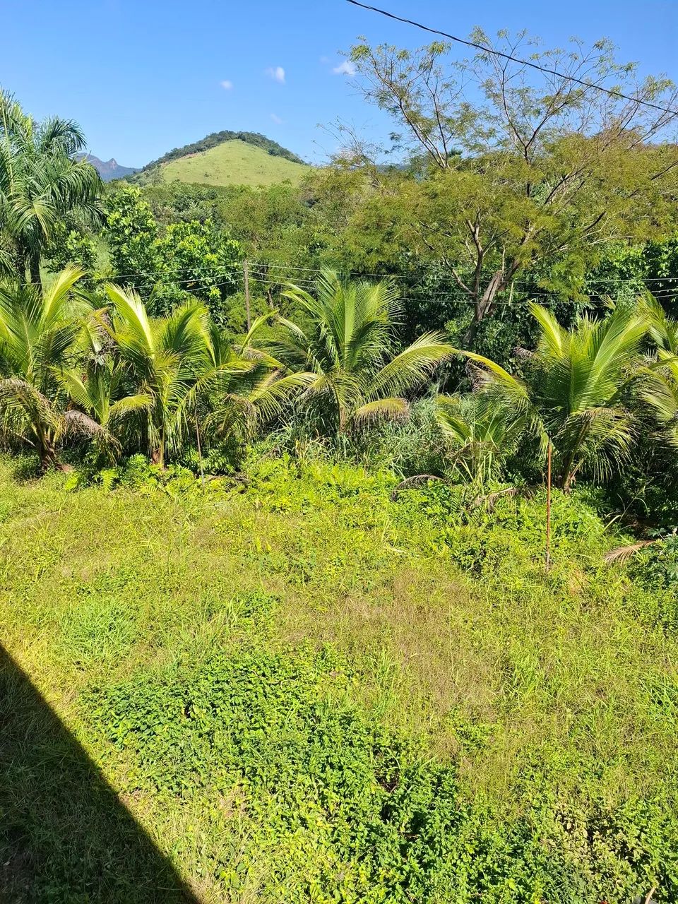 Terreno sítio laranjal  - Foto 4