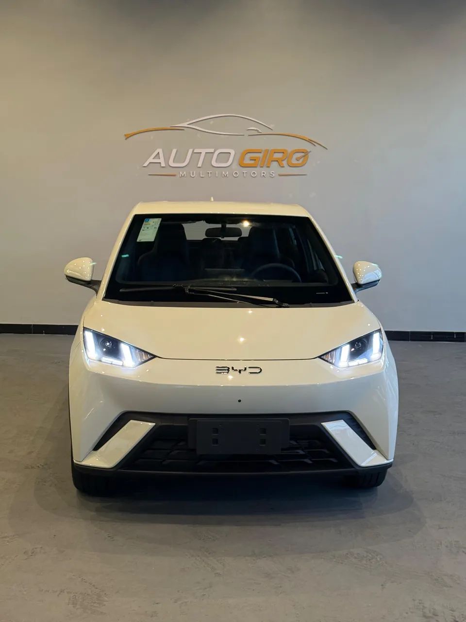 BYD Dolphin Mini (Elétrico) 2027 - Foto 2