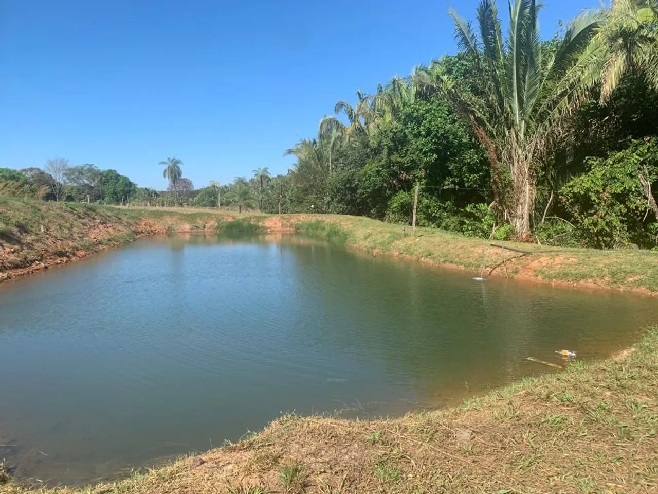 Vendo Fazenda em Miranorte - Foto 5