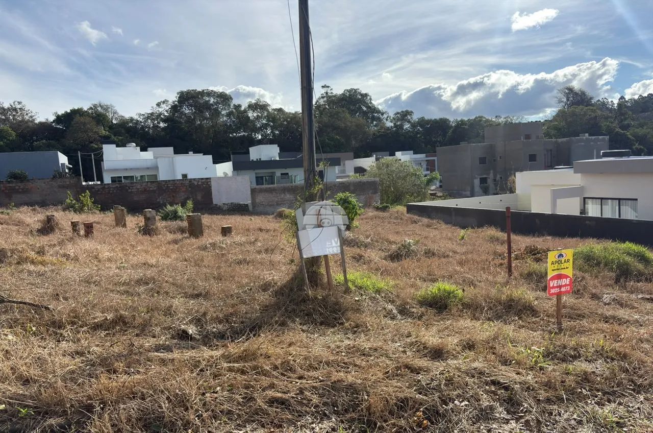 Vendas Terreno Pato Branco PR - Foto 5