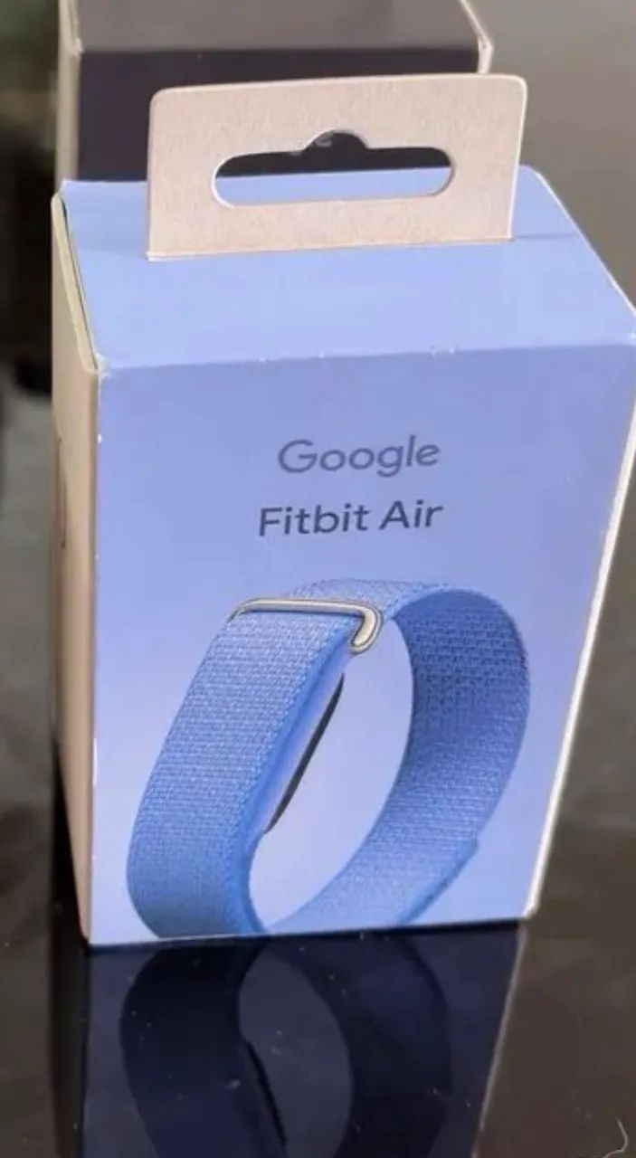 Google Fitbit Air pulseira