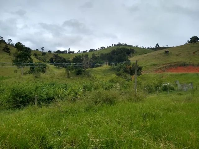 Fazenda 63Hectares Ibicui-Ba - Foto 4