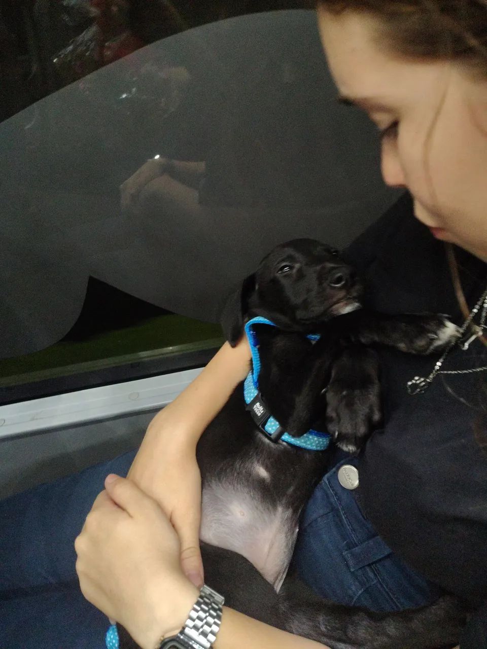 Cachorro Max - Foto 5