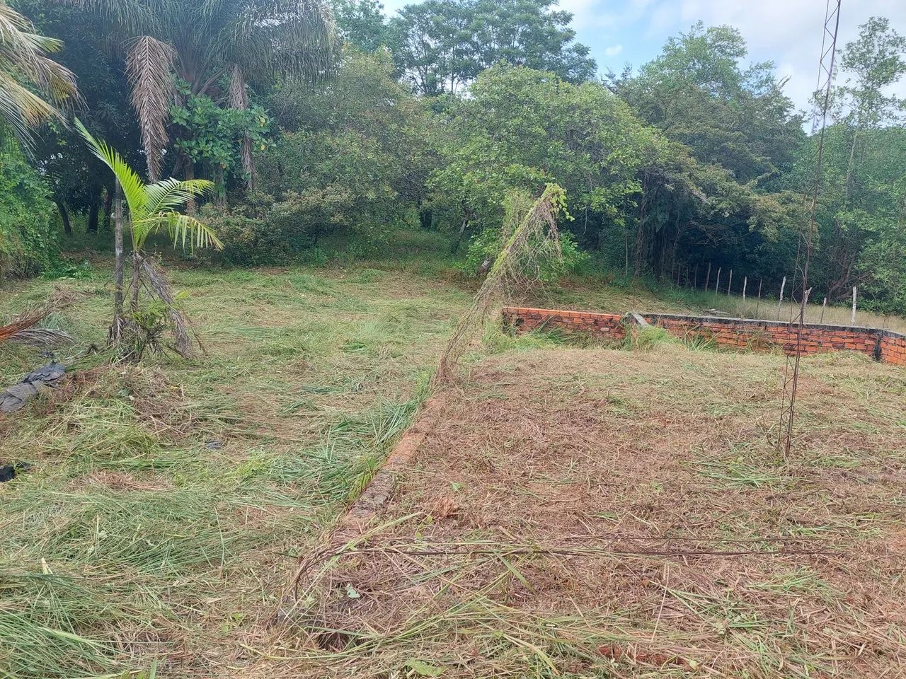 Terreno localizado primavera pa - Foto 3