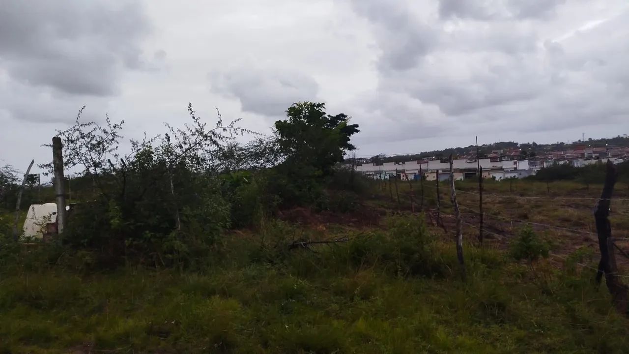 Terreno a venda no Guajara  - Foto 2