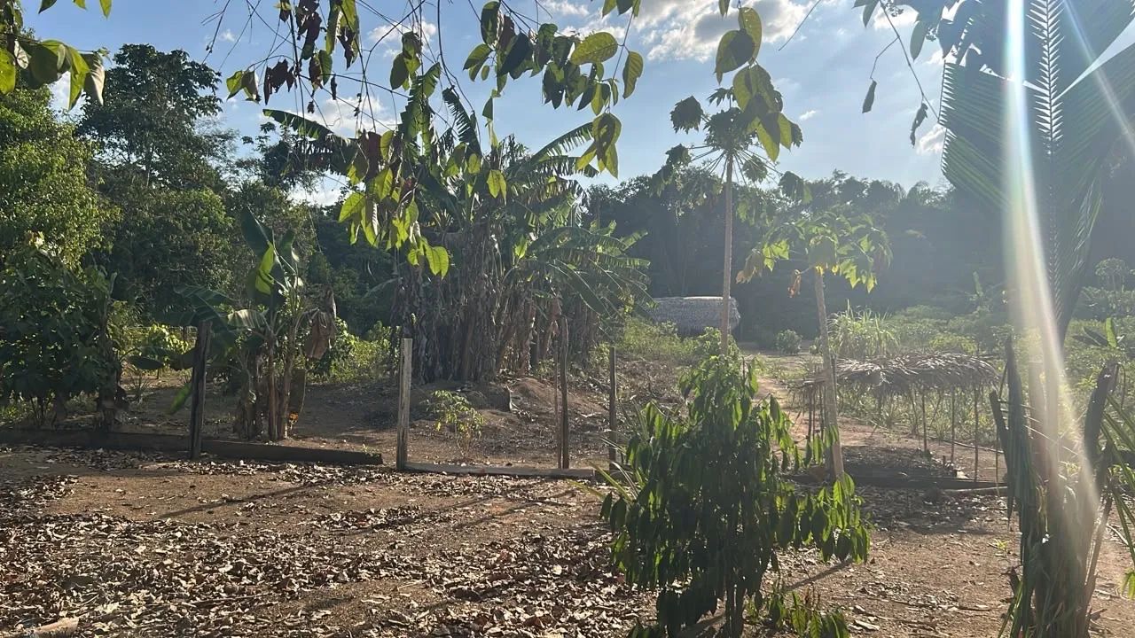 Chácara completa com 17.550m, produtiva e pronta para morar! - Foto 3