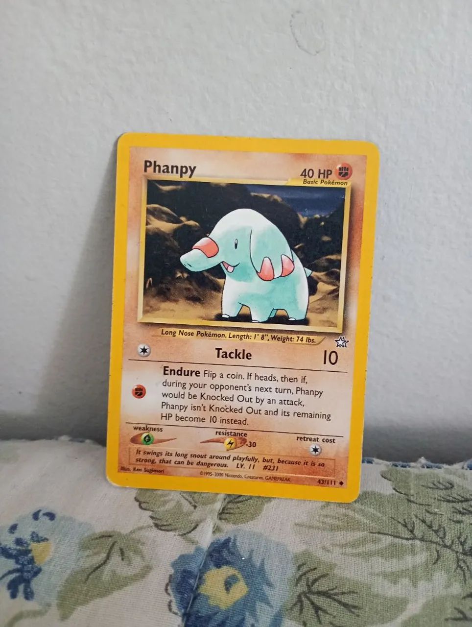 Carta pokémon ano 1995