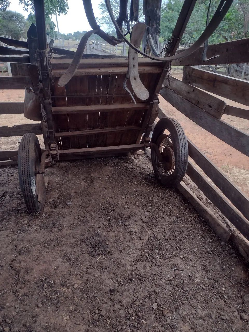 Carroça Goiânia 
