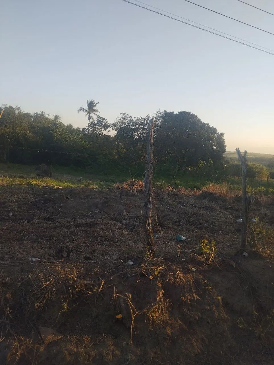 Terreno 