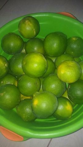 Vendo mexerica pocan
