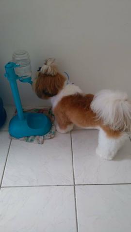 Disponivel oara ceuza