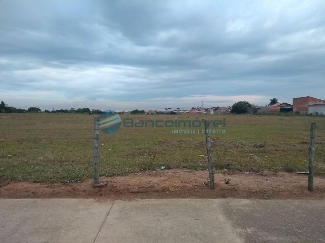 Casa para alugar com 2 dormitórios em Marieta dian, Paulínia cod:CA01530 - Foto 14
