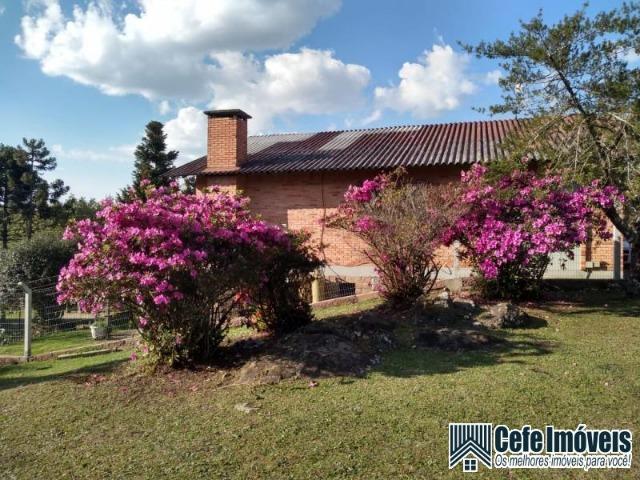 Terreno para Venda, São Francisco de Paula / RS, bairro Veraneio Hampel - Ref. 827 - Foto 5