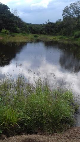 Cocalzinho Goiás - Foto 5