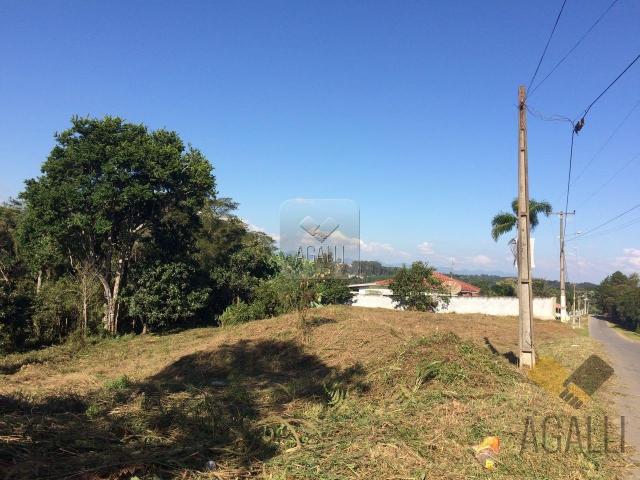 Terreno à venda em Centro, Colombo cod:300-17 - Foto 2