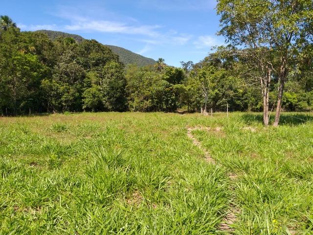 Lindo Sitio Próximo da Serra - Foto 5