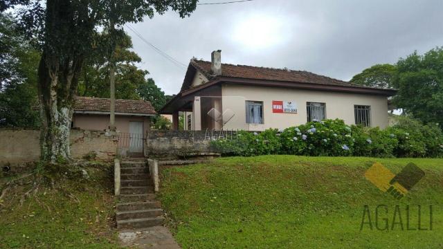 Terreno à venda em Mercês, Curitiba cod:245-16 - Foto 5