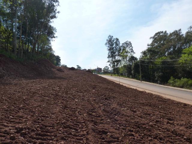 Terrenos Urbanizados - Caxias do Sul - Foto 6
