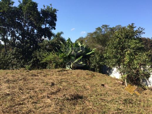 Terreno à venda em Centro, Colombo cod:300-17 - Foto 3