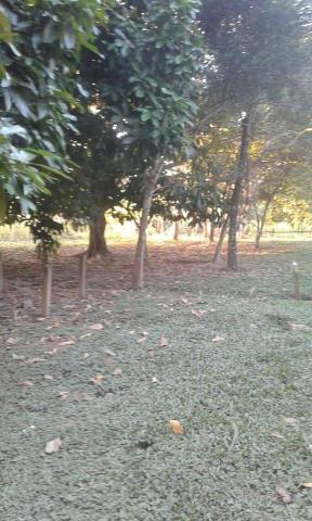 Chácara chacara, sitio, fazenda casa moradia carro, aluguel, aluga-se - Foto 7
