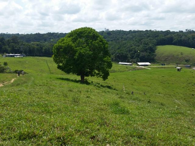 Fazenda na AM 010 - Foto 8