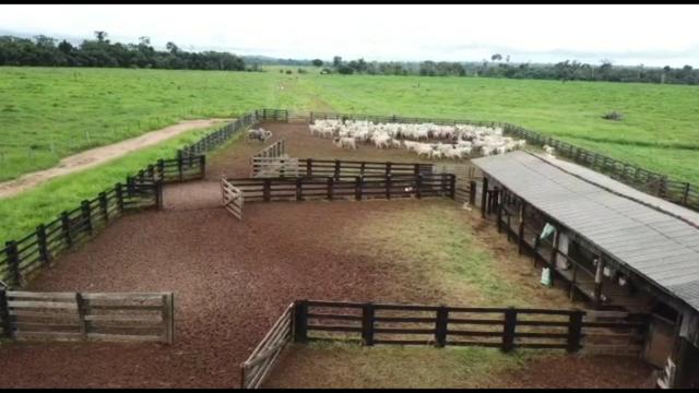 Fazenda 3.500 Hectares Excelente Fazenda - Foto 5