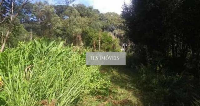Chácara em tijucas do sul