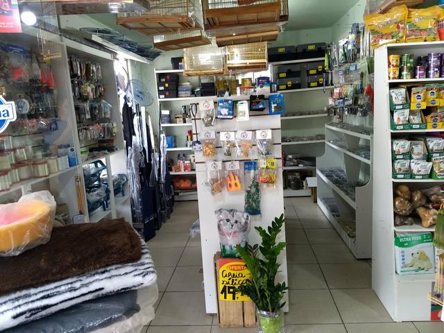 Vendo agropecuária mais de 20 anos - Foto 4