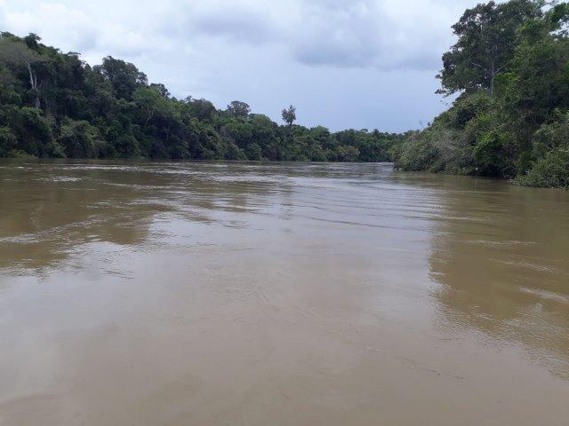 Fazenda Paraiso - Foto 6