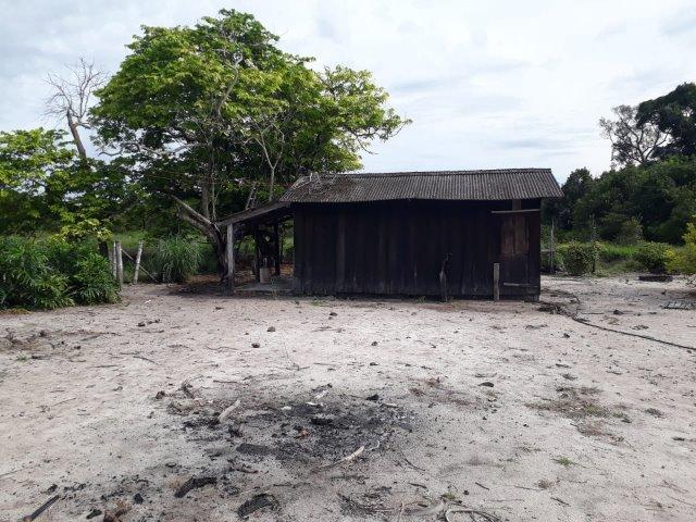 Fazenda Paraiso - Foto 5
