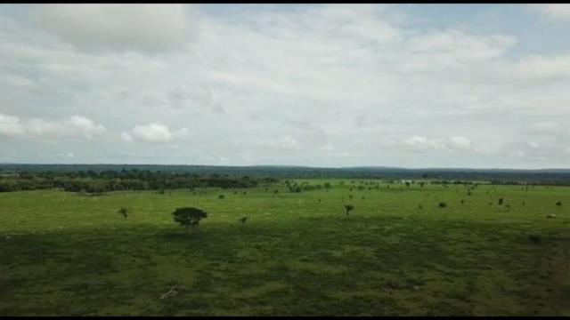 Fazenda 3.500 Hectares Excelente Fazenda - Foto 2