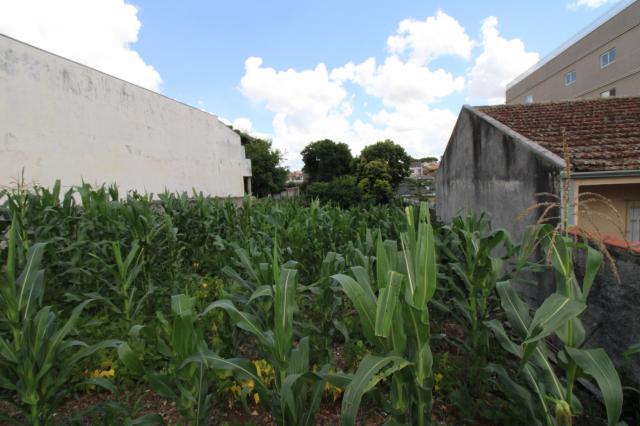 Loteamento/condomínio à venda em Pinheirinho, Curitiba cod:TE0203 - Foto 6