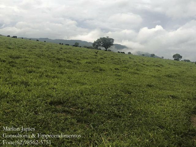 Fazenda em Vila Propício-Go! - Foto 4