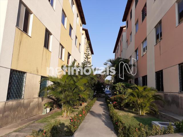 Apartamento à venda com 2 dormitórios em Serrinha, Fortaleza cod:769589 - Foto 3