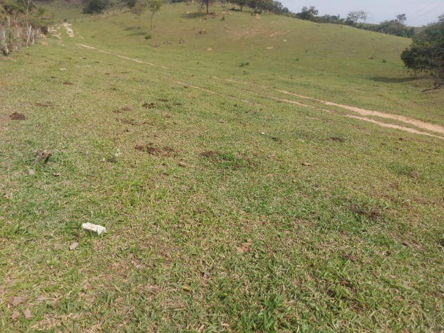 Área 35.000 m² em Sorocaba - Foto 4