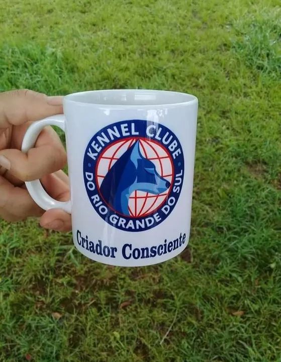 ÚLTIMO!!BORDER COLLIE 20% OFF!!!COM PROCEDÊNCIA!!! - Foto 6