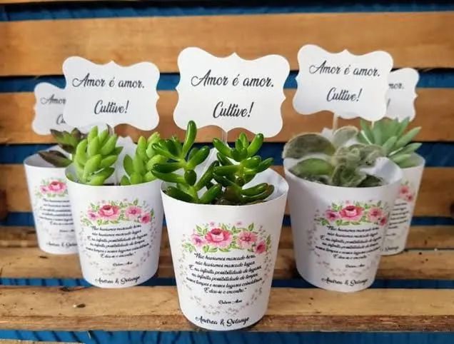 Mini Suculentas Personalizadas - Presentes Únicos <br><br> - Foto 4