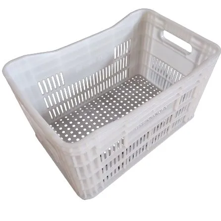 Caixa Plástica 50l Câmara fria para Frutas e Legumes